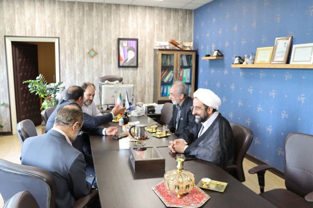 هم افزایی